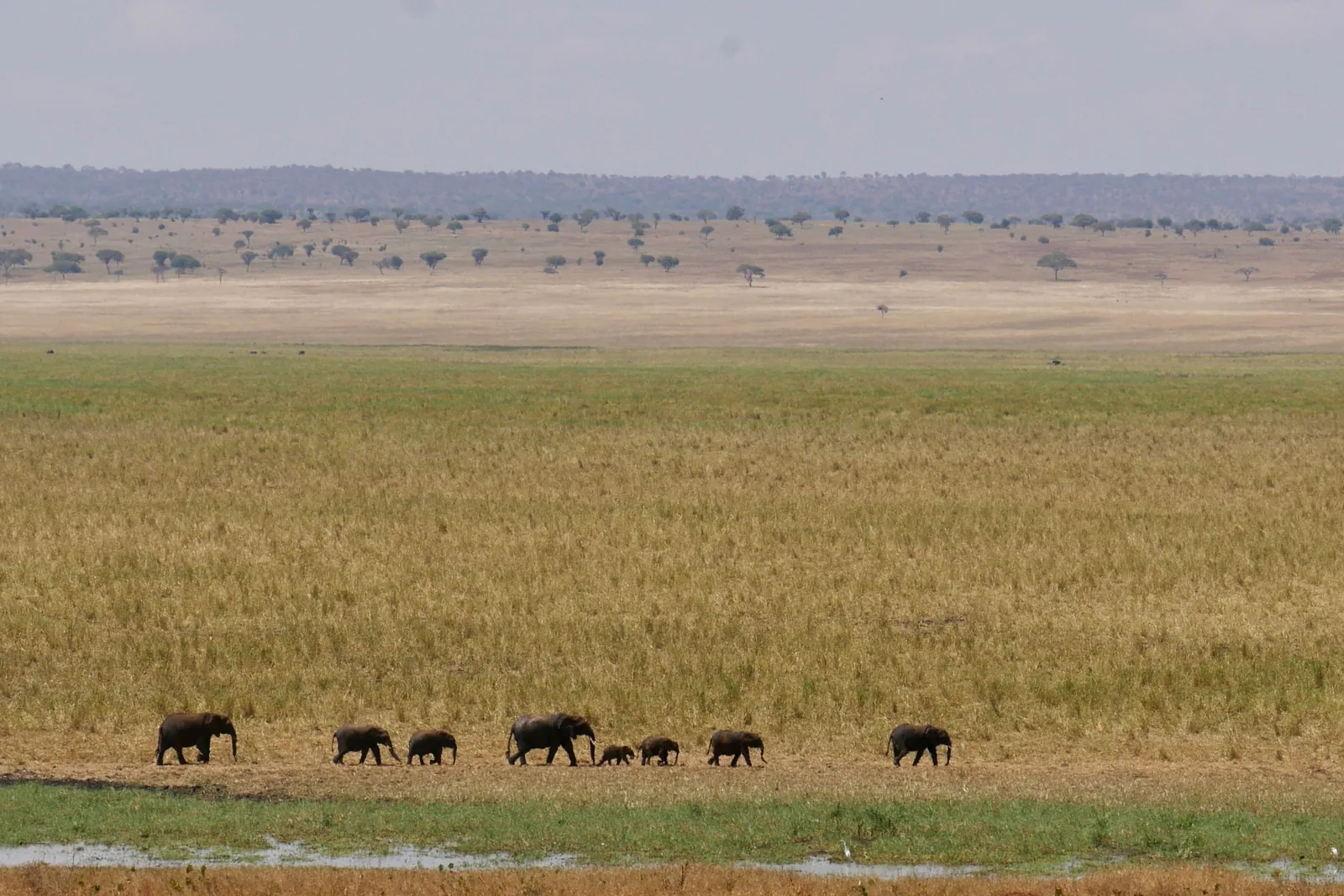 Tarangire National Park