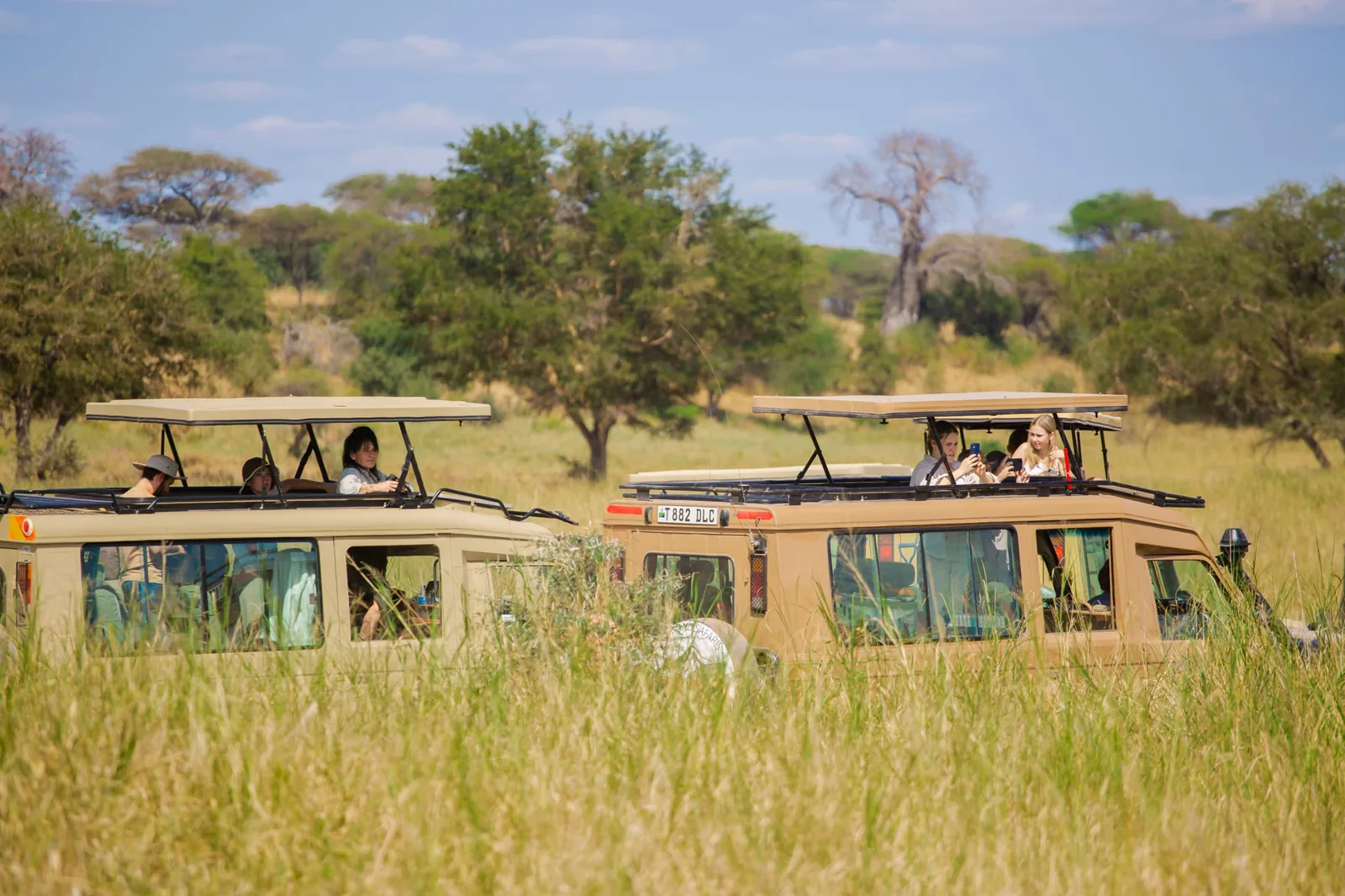 The Great Serengeti