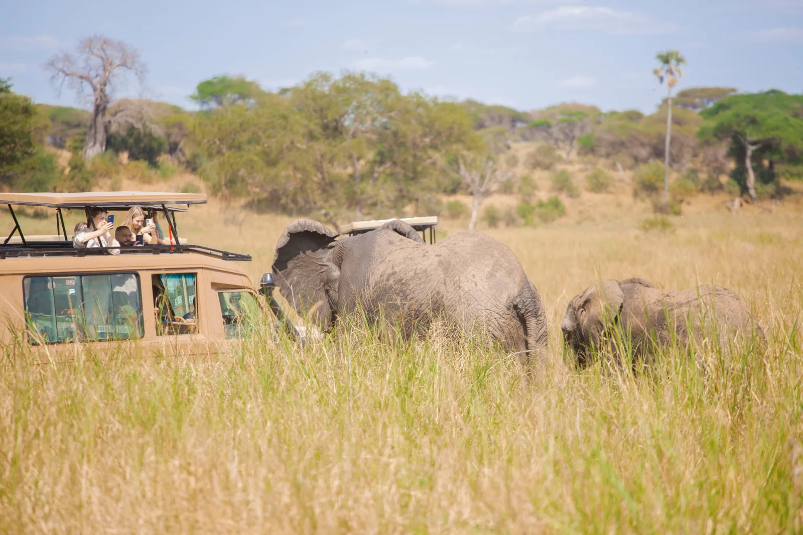 Ngorongoro Crater